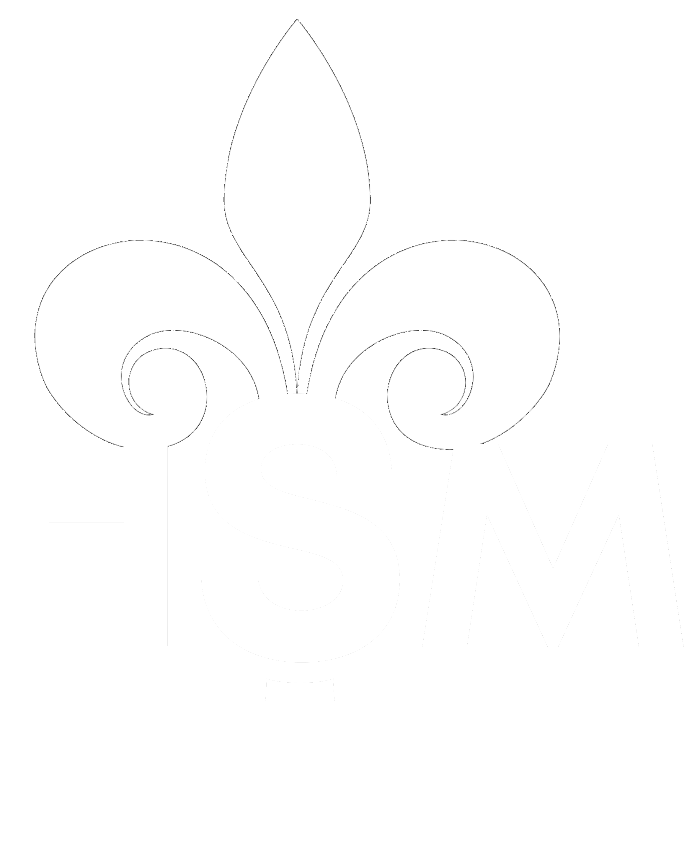 Comercializadora HSM